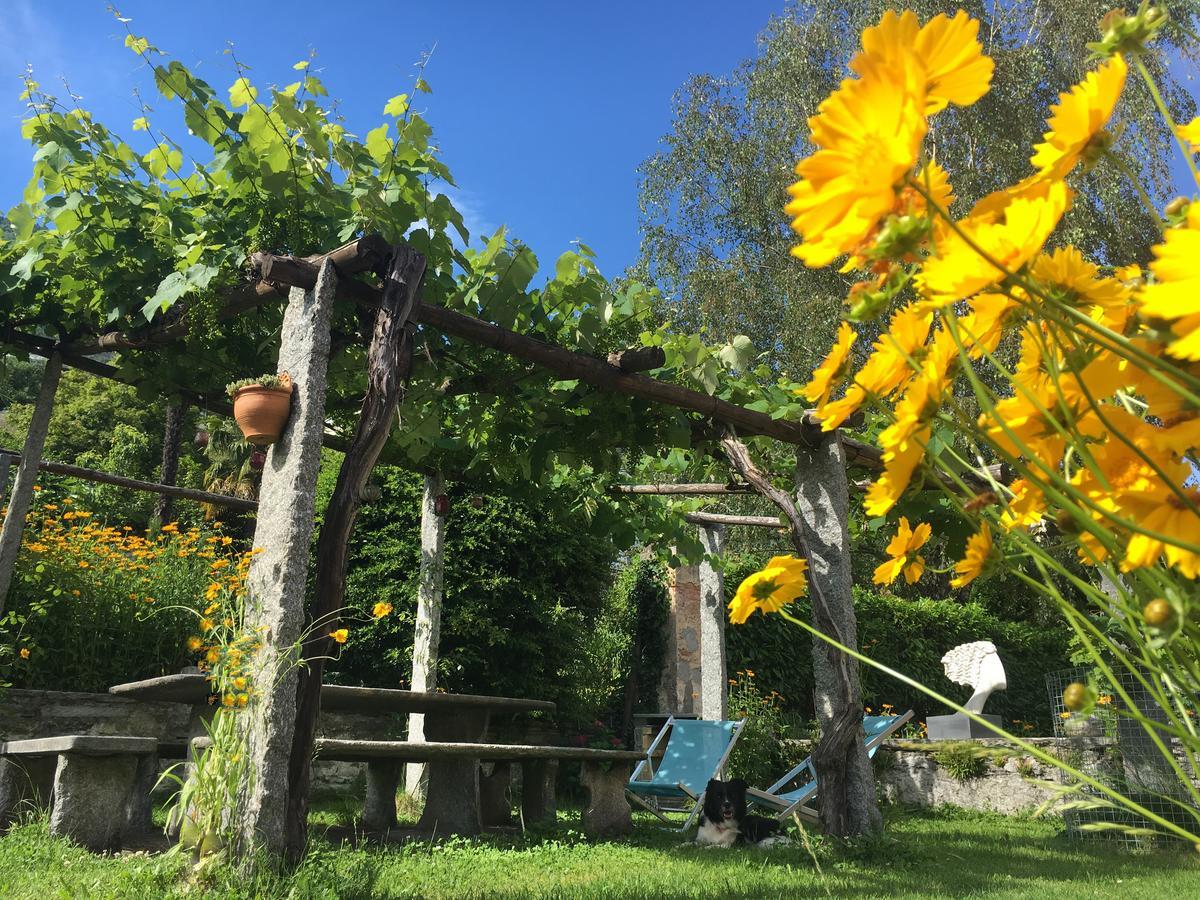 B&B Villa Sempreverde Locarno Exteriér fotografie